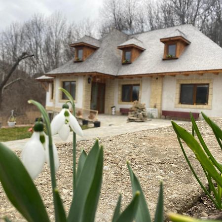 הוילה Vălenii de Munte Casa Cu Sindrila מראה חיצוני תמונה