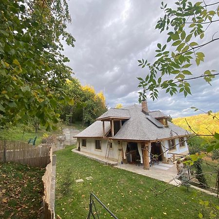 הוילה Vălenii de Munte Casa Cu Sindrila מראה חיצוני תמונה