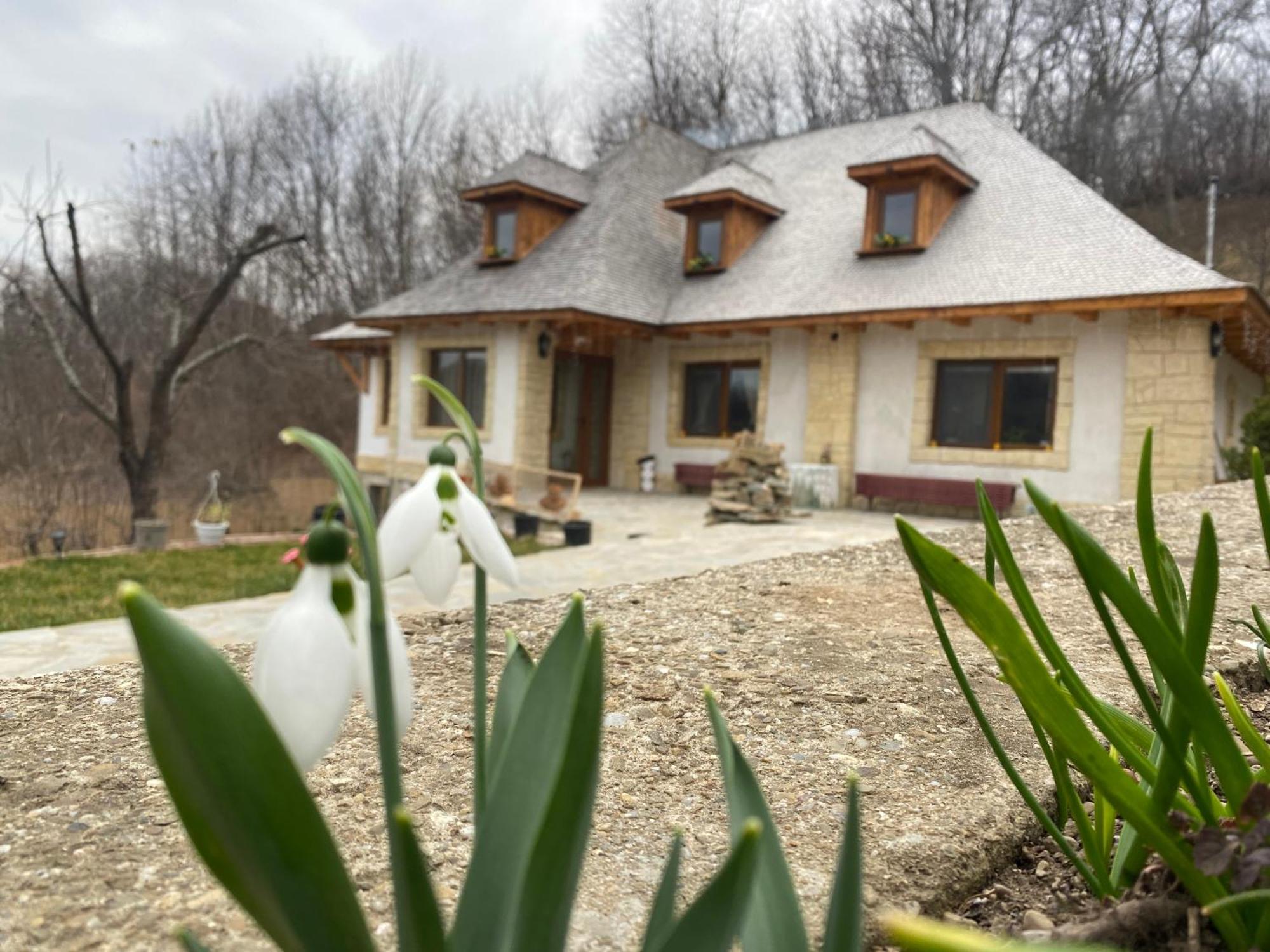 הוילה Vălenii de Munte Casa Cu Sindrila מראה חיצוני תמונה