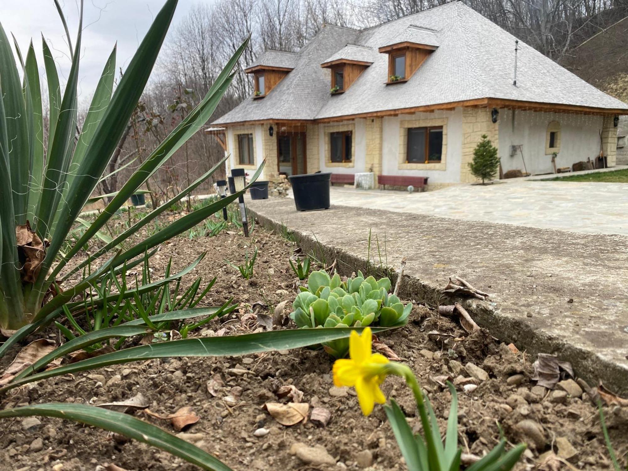הוילה Vălenii de Munte Casa Cu Sindrila מראה חיצוני תמונה