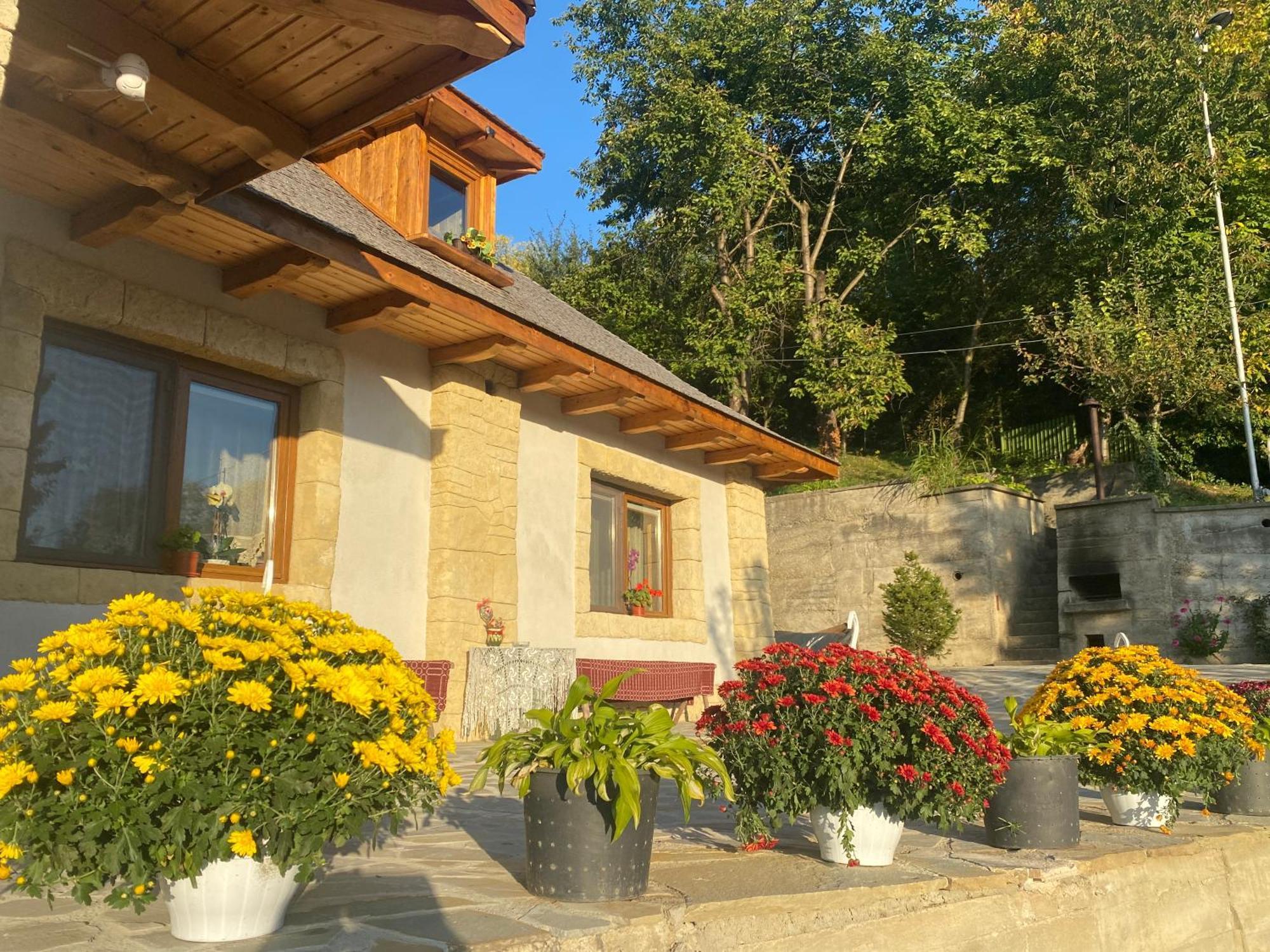 הוילה Vălenii de Munte Casa Cu Sindrila מראה חיצוני תמונה