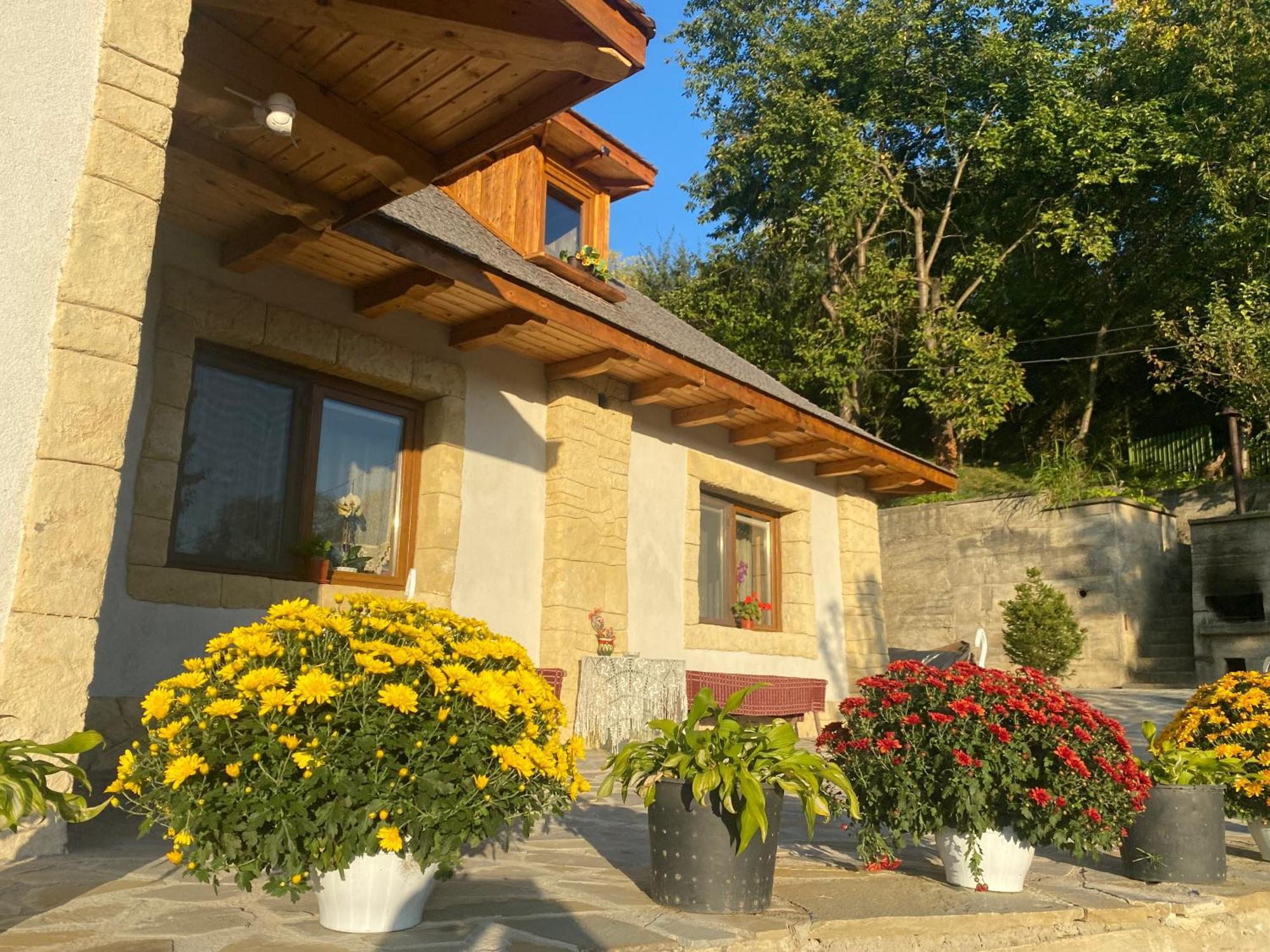 הוילה Vălenii de Munte Casa Cu Sindrila מראה חיצוני תמונה