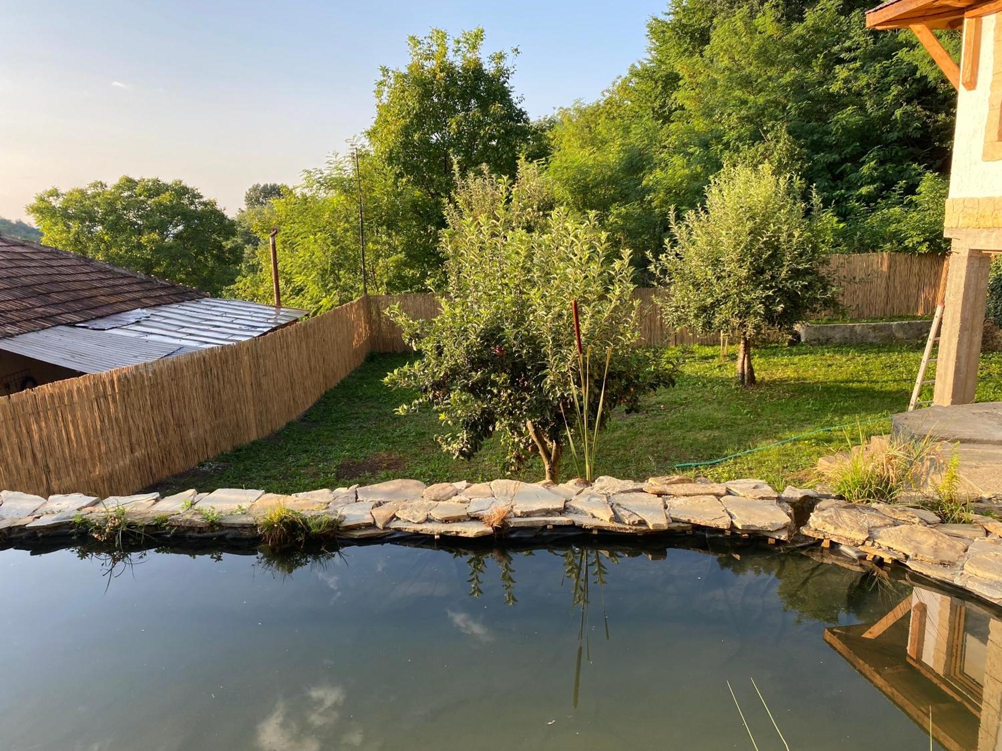 הוילה Vălenii de Munte Casa Cu Sindrila מראה חיצוני תמונה
